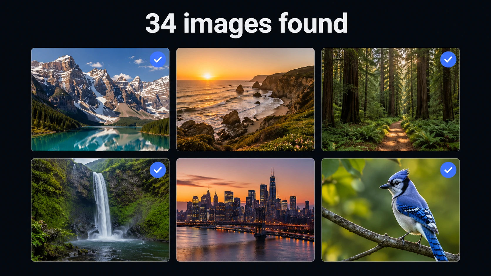 Image Extractor tool interface — extracted image results grid